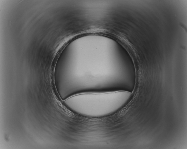 X0000100981412200806241137