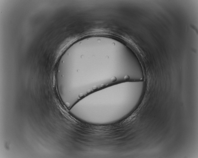 X0000100981413200806241137