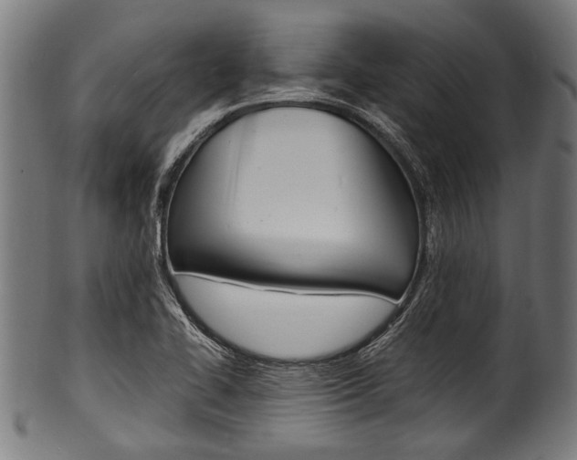 X0000100981414200806241137