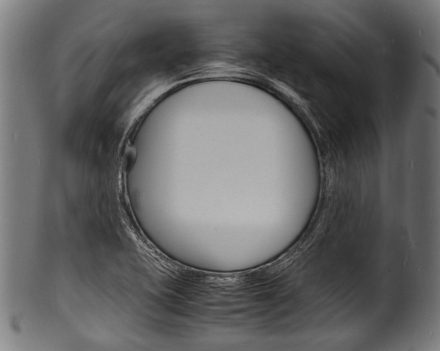 X0000100981415200806241137