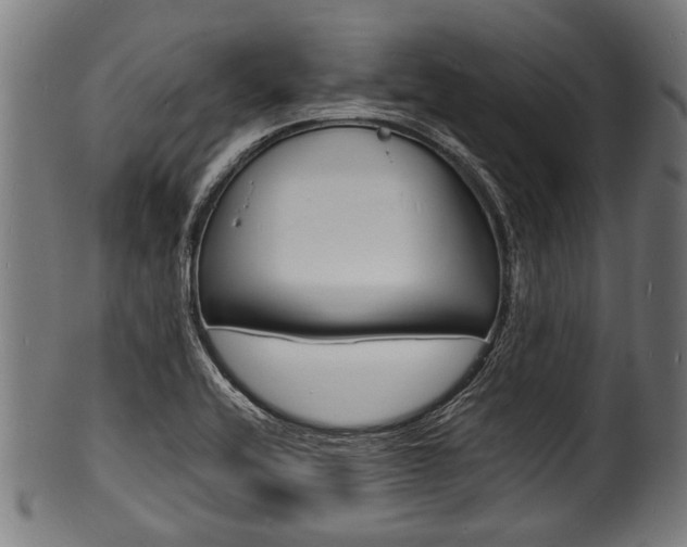 X0000100981416200806241137