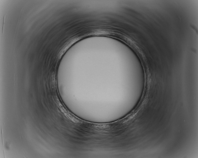 X0000100981417200806241137