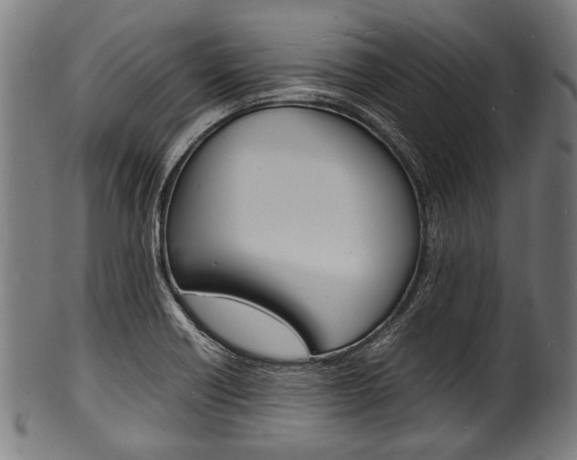 X0000100981418200806241137