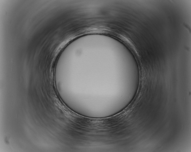 X0000100981419200806241137