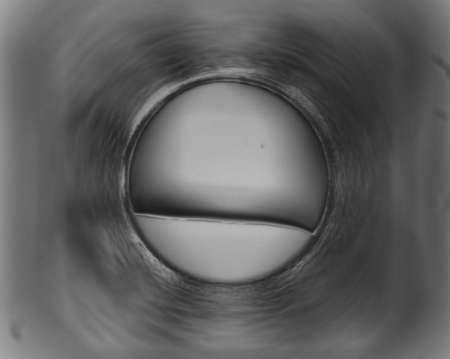 X0000100981420200806241137