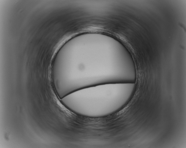 X0000100981421200806241137