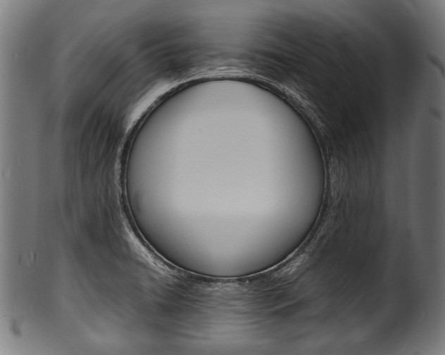X0000100981422200806241137