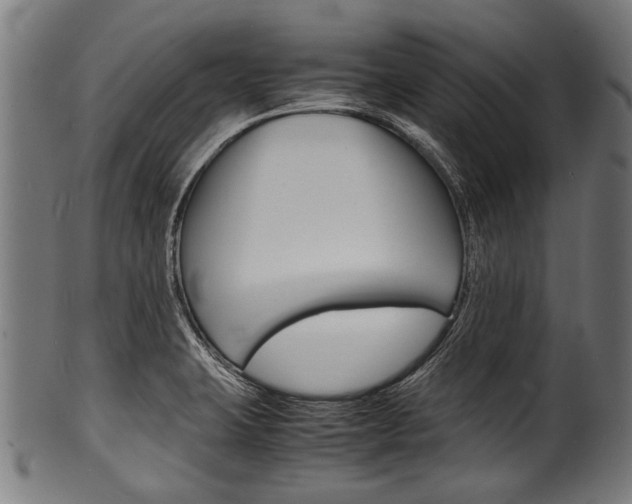 X0000100981423200806241137