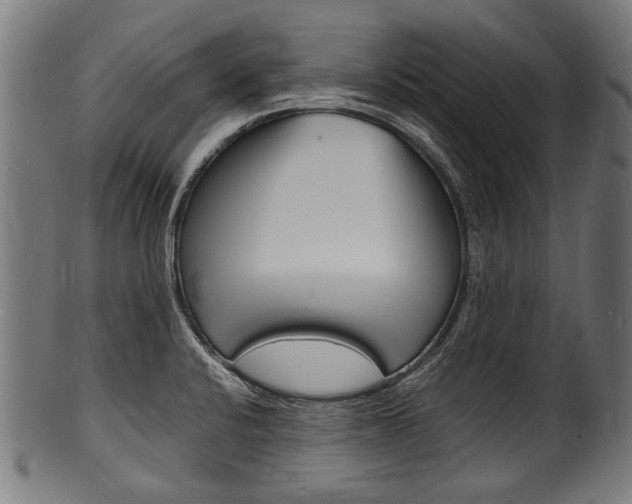X0000100981424200806241137