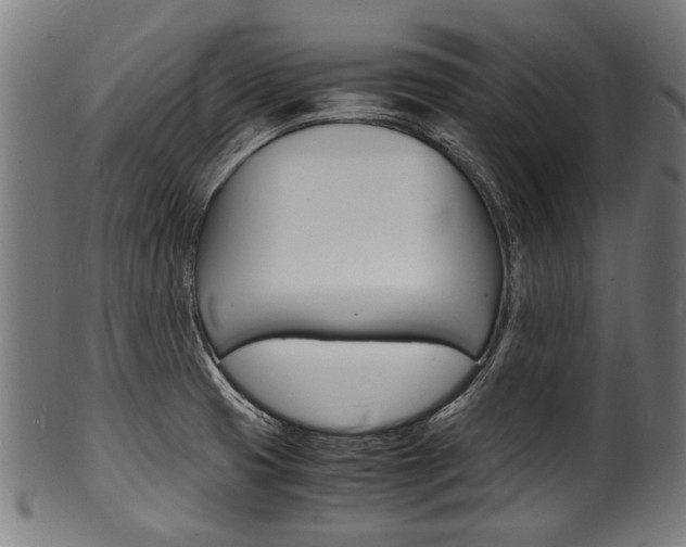 X0000100981425200806241138
