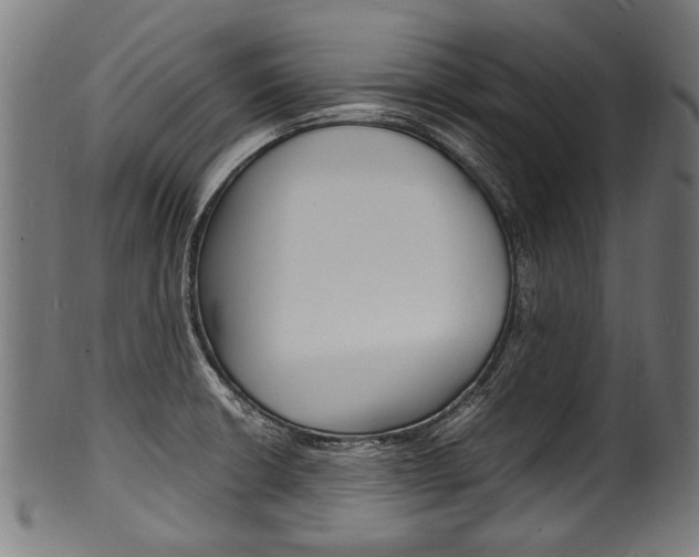 X0000100981426200806241138