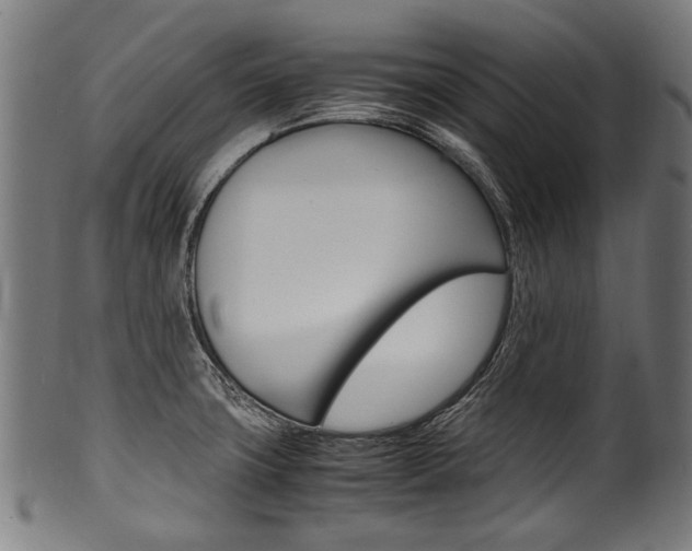 X0000100981427200806241138