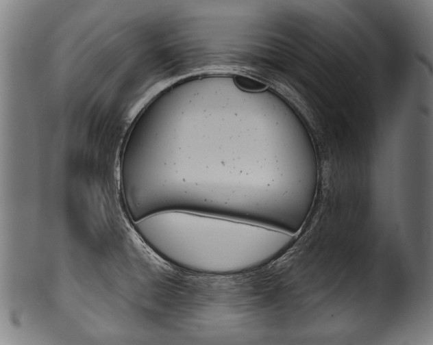 X0000100981428200806241138