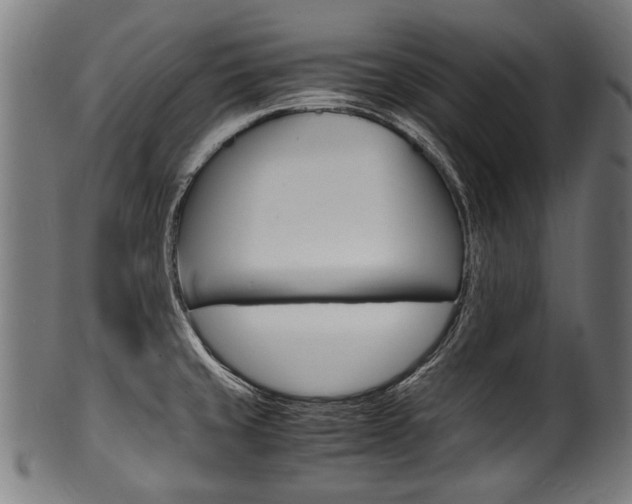 X0000100981429200806241138