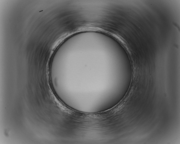X0000100981430200806241138