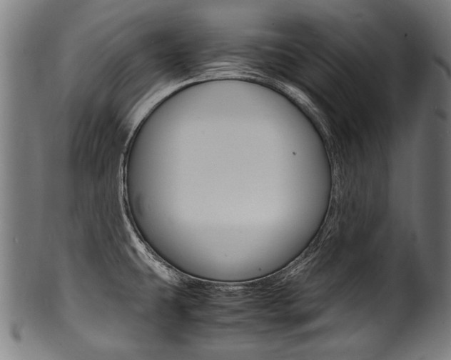X0000100981431200806241138