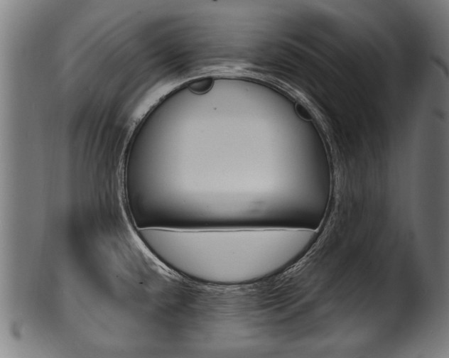 X0000100981432200806241138