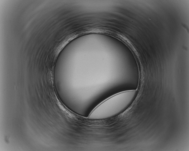 X0000100981433200806241138
