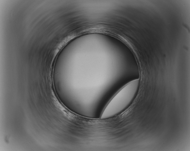 X0000100981434200806241138