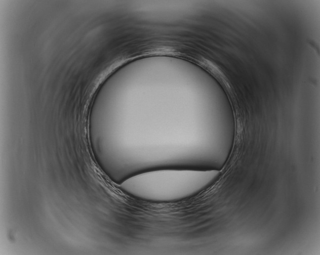 X0000100981435200806241138