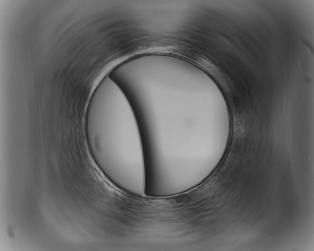 X0000100981436200806241138
