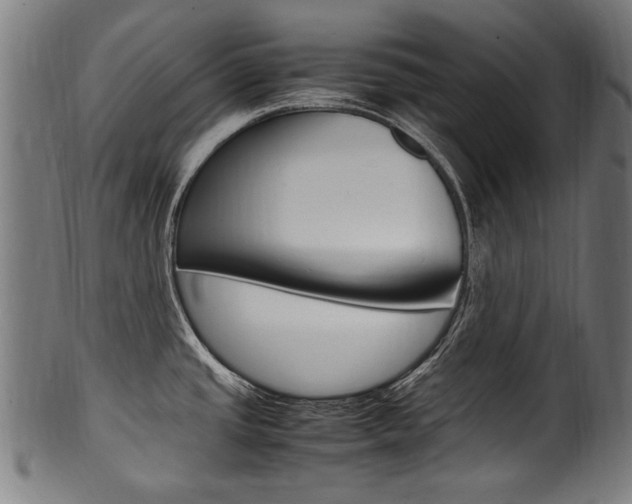 X0000100981437200806241138