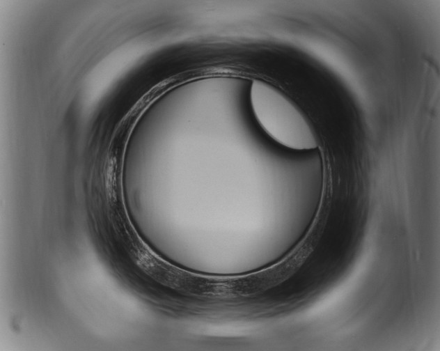 X0000100981438200806241138
