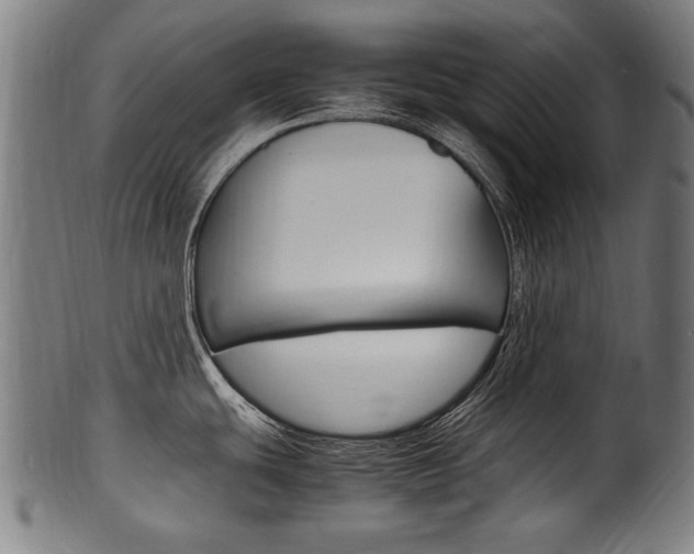 X0000100981439200806241138