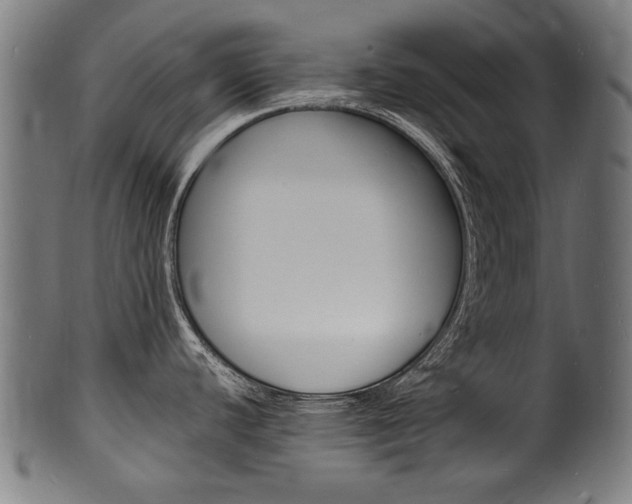 X0000100981440200806241138