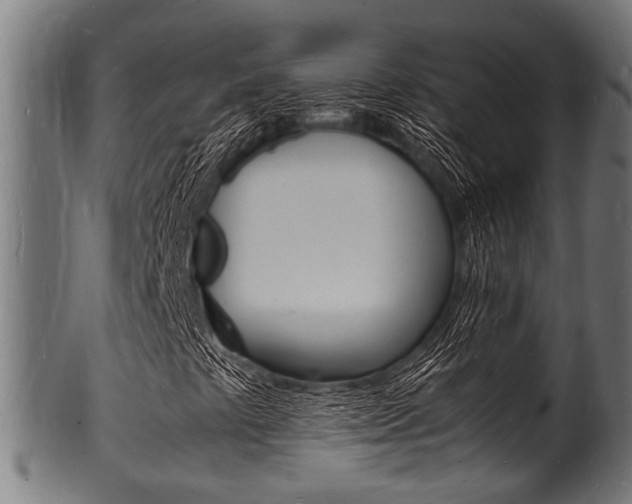 X0000100981441200806241137