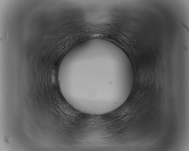 X0000100981442200806241137