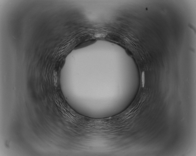 X0000100981443200806241137