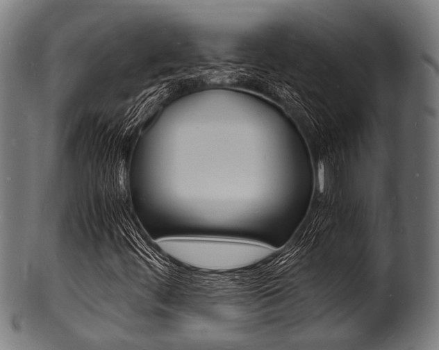 X0000100981444200806241137
