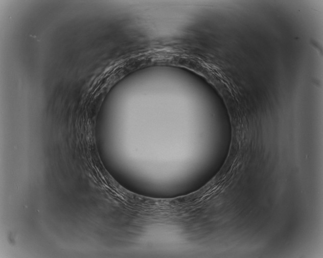 X0000100981445200806241137