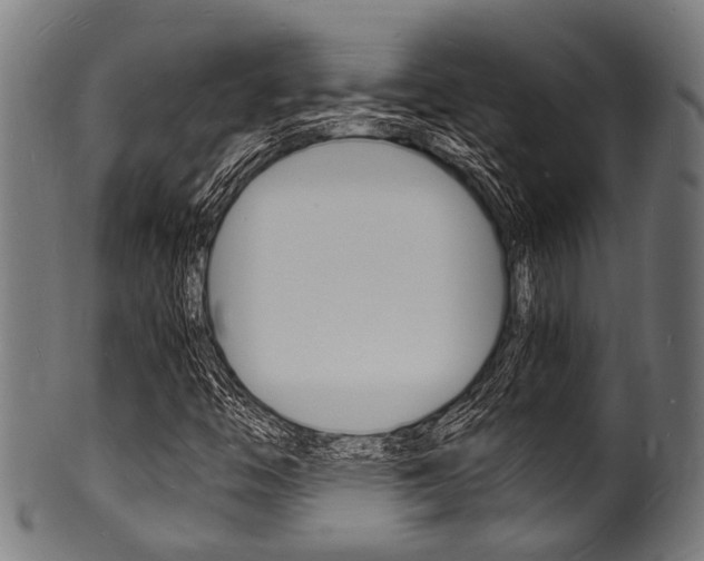 X0000100981446200806241137
