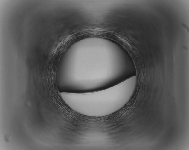 X0000100981447200806241137