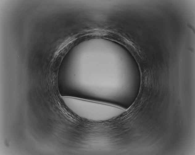 X0000100981448200806241137