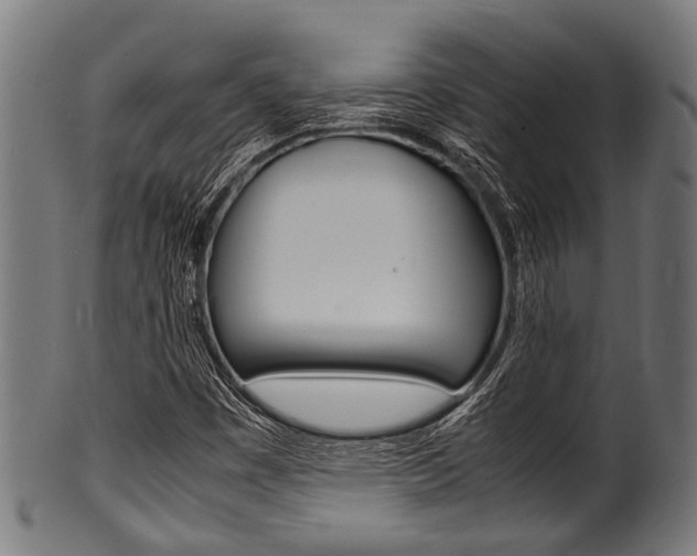 X0000100981449200806241137