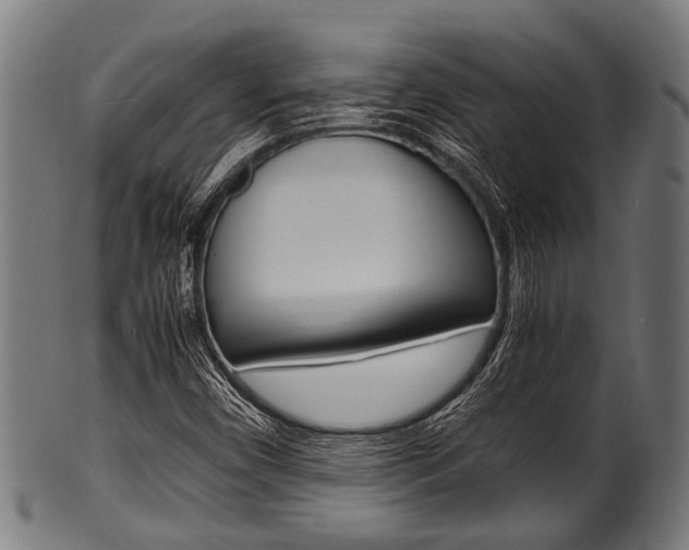 X0000100981450200806241137