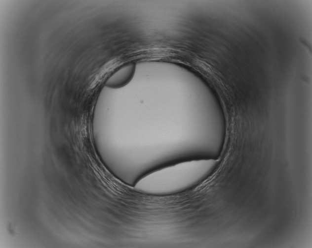 X0000100981451200806241137