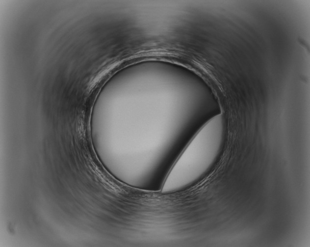 X0000100981452200806241137