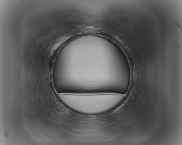 X0000100981453200806241137