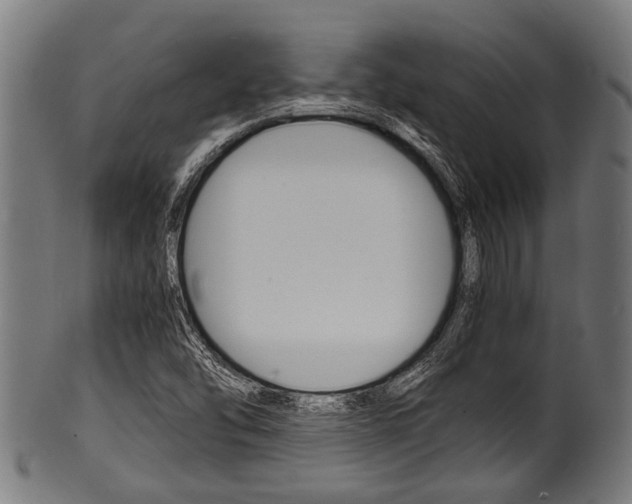 X0000100981454200806241137