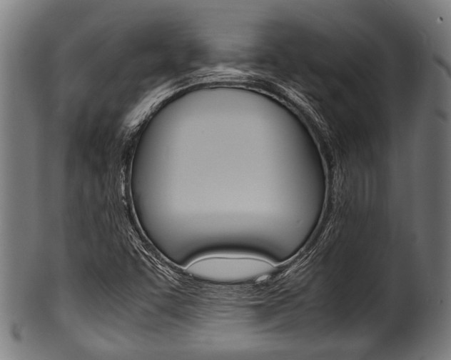X0000100981455200806241137