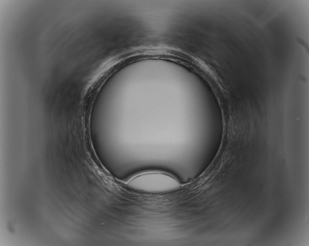 X0000100981456200806241137