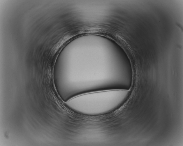 X0000100981457200806241137