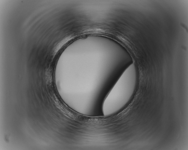 X0000100981458200806241137