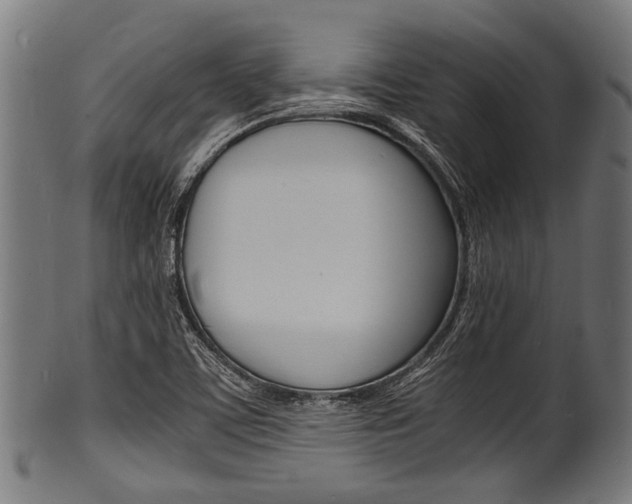 X0000100981459200806241137