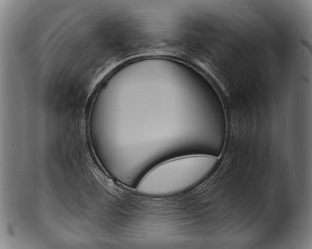 X0000100981460200806241137