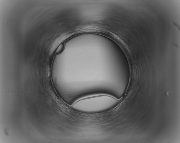 X0000100981461200806241137